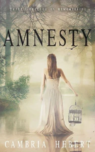 Obrazek HEBERT, C: AMNESTY