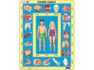 Bild von Puzzle Nasze ciało 35