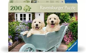 Obrazek Puzzle XL 200 Golden Retriever