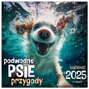 Bild von Kalendarz 2025 Ścienny Podwodne Psie Przygody