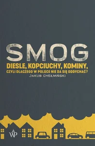 Obrazek SMOG Diesle, kopciuchy, kominy, czyli dlaczego w Polsce nie da się oddychać?