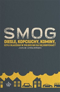 Bild von SMOG Diesle, kopciuchy, kominy, czyli dlaczego w Polsce nie da się oddychać?
