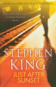 Just After... - Stephen King -  polnische Bücher