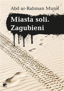 Bild von Miasta soli Zagubieni