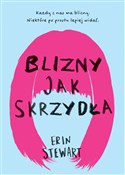 Polska książka : Blizny jak... - Erin Stewart