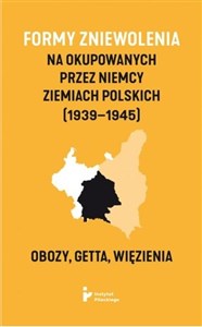 Bild von Formy zniewolenia na okupowanych przez Niemcy ziemiach polskich (1939-1945). Obozy, getta, więzienia