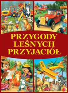 Obrazek Przygody Leśnych Przyjaciół