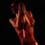 Raw Power -  Polnische Buchandlung 