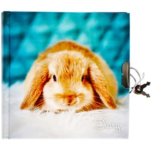 Bild von Pamiętnik zamykany Królik