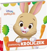 Disney mal... - Opracowanie Zbiorowe -  polnische Bücher