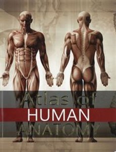 Bild von Atlas of Human Anatomy