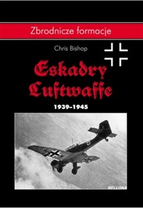 Obrazek Eskadry Luftwaffe 1939-1945