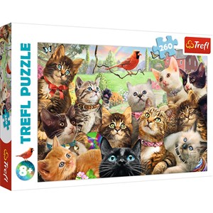 Obrazek Puzzle Kotki 260