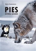 Polska książka : Pies Histo... - Marta Paszkiewicz