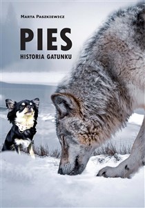 Bild von Pies Historia gatunku