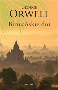Obrazek Birmańskie dni