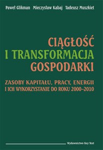 Obrazek Ciągłość i transformacja gospodarki Zasoby kapitału, pracy, energii i ich wykorzystanie do roku 2000–2010