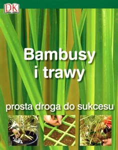 Bild von Bambusy i trawy