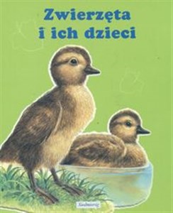 Obrazek Zwierzęta i ich dzieci