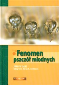 Bild von Fenomen pszczół miodnych