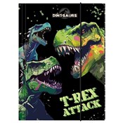 Polnische buch : Teczka z g...