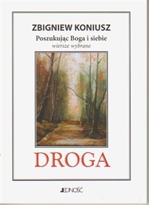 Obrazek Droga - Zbigniew Koniusz