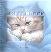 Szkicownik... -  Książka z wysyłką do Niemiec 