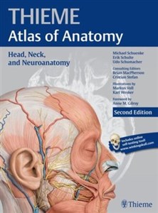 Obrazek Head, Neck, and Neuroanatomy (THIEME Atlas of Anatomy)