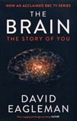 Zobacz : The Brain ... - David Eagleman