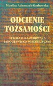Polska książka : Odcienie t... - Monika Adamczyk-Garbowska