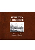 Gniezno i ... - Tadeusz Panowicz -  fremdsprachige bücher polnisch 