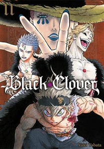 Bild von Black Clover. Tom 11