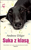 Polska książka : Suka z kla... - Andrew Dilger