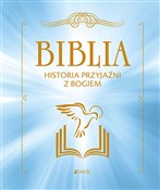 Polska książka : Biblia His... - Francois Campagnac, Christophe Raimbault, Fabienne Py-Renaudie