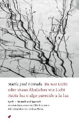 Obrazek FERRADA, M: DA WAR LICHT ODER ETWAS ÄHNLICHES WIE LICHT / HA