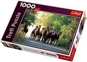 Obrazek Puzzle Ogiery pełnej krwi angielskiej 1000