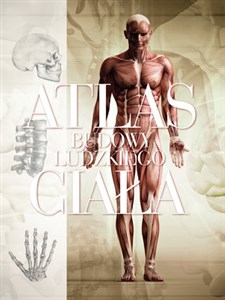 Bild von Atlas budowy ludzkiego ciała