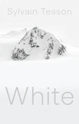 Polnische buch : White - Sylvain Tesson
