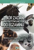 Polska książka : Zbiór zada... - Aleksandra Nikolajdu-Skrzypczak