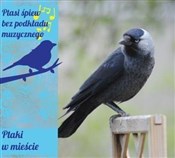 Polnische buch : Ptaki w mi...