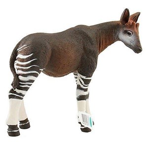 Bild von Okapi