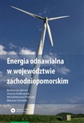 Energia od... - Bartłomiej Igliński, Urszula Kiełkowska, Michał Pietrzak, Mateusz Skrzatek -  Polnische Buchandlung 