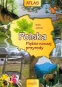 Polska pię... - Ilona Jarosz - buch auf polnisch 