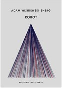Książka : Robot - Adam Wiśniewski-Snerg