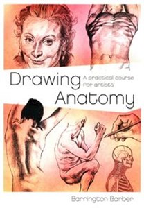 Bild von Drawing Anatomy