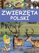 Zwierzęta ... - Opracowanie Zbiorowe -  Polnische Buchandlung 