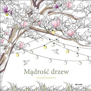Bild von Mądrość drzew kolorowanka