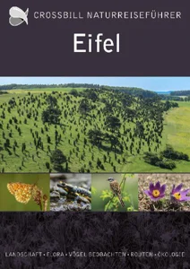 Obrazek OP DEN KAMP, O: EIFEL