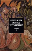 Dramaty To... - Stanisław Ignacy Witkiewicz -  polnische Bücher