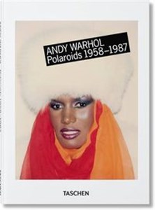 Bild von Polaroids 1958-1987
